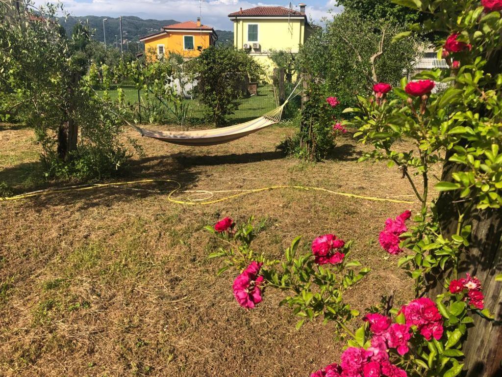 La casa di Ulivì Villa Piano di Follo Esterno foto