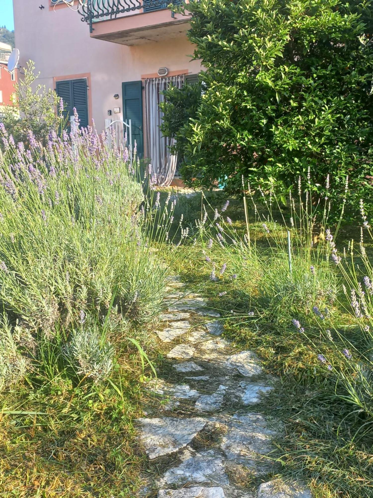 La casa di Ulivì Villa Piano di Follo Esterno foto